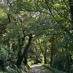 The Arches, Georgian Appartamento