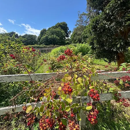 Lejlighed The Arches, Georgian Cobh