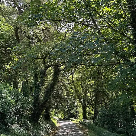 The Arches, Georgian アパート