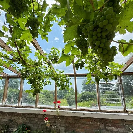 The Arches, Georgian Appartamento An Cóbh