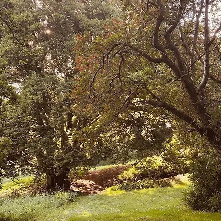 The Arches, Georgian Lejlighed
